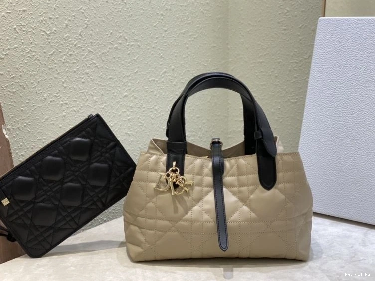 Christian Shopping NewStyle Dior Bags 66600 0712